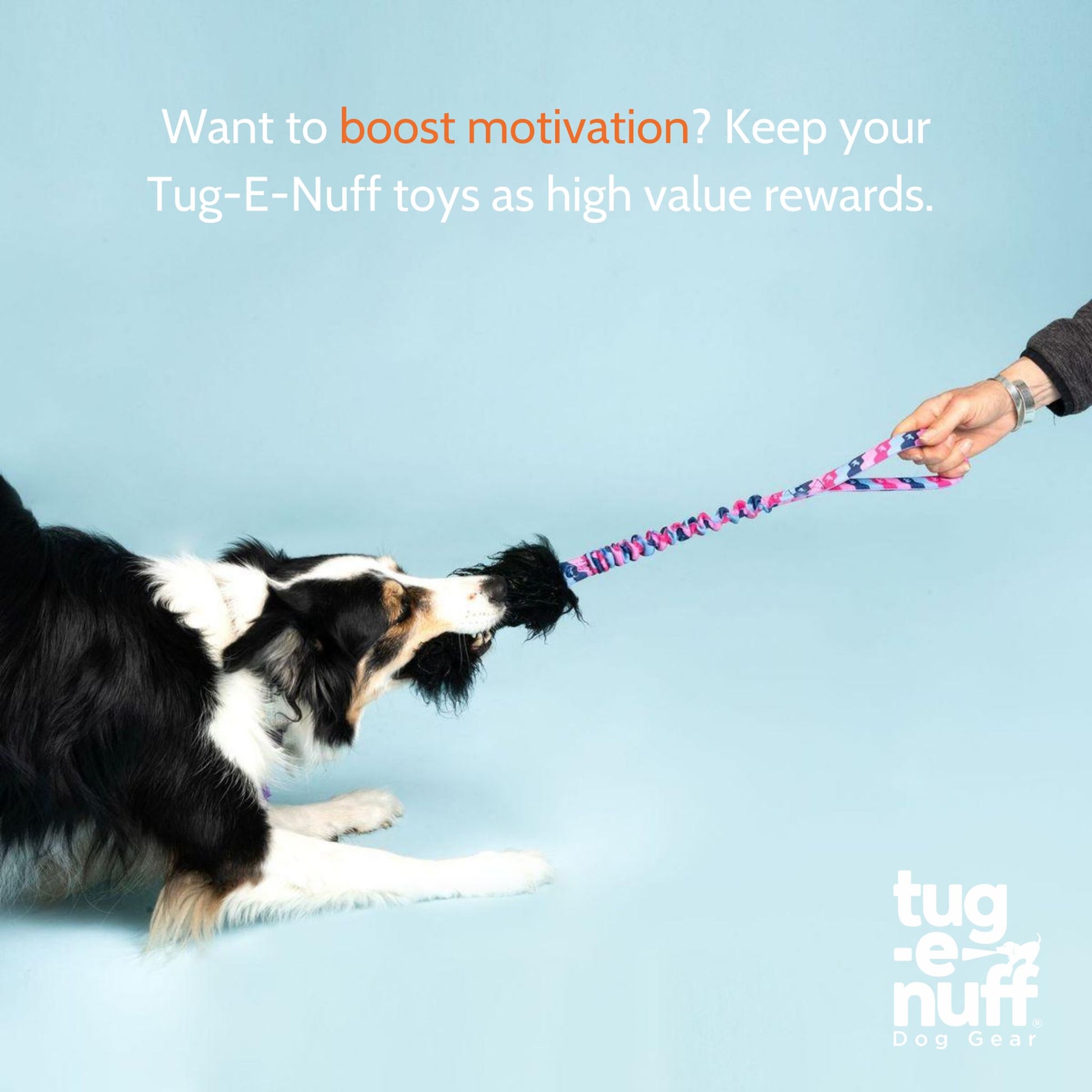 Dog playing tug with Tug-E-Nuff Wondabaa PowerBall Bungee – safe, UK-made interactive toy for training, play, and bonding