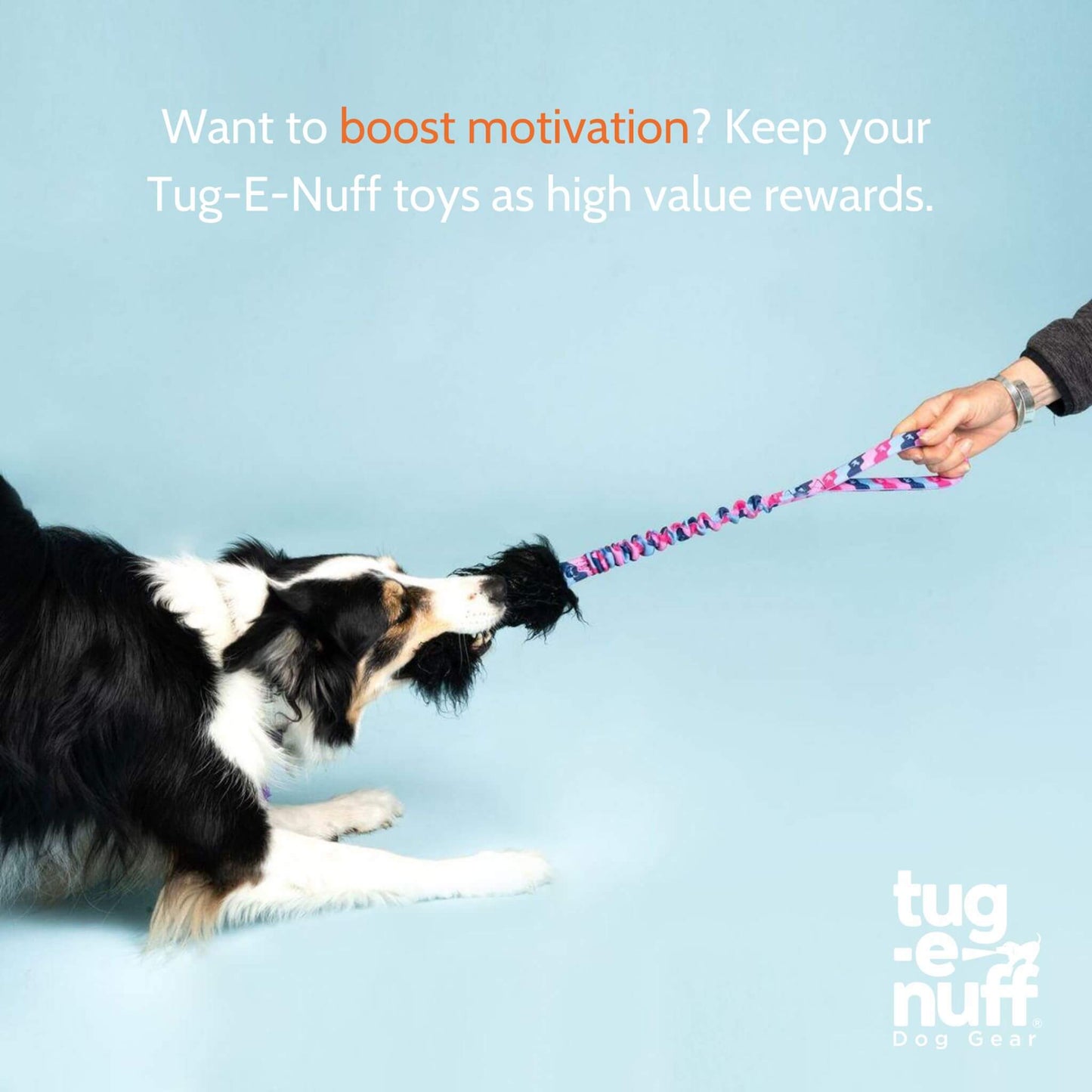 UK-made Wonderbaa Bungee – safe tug and fetch dog toy