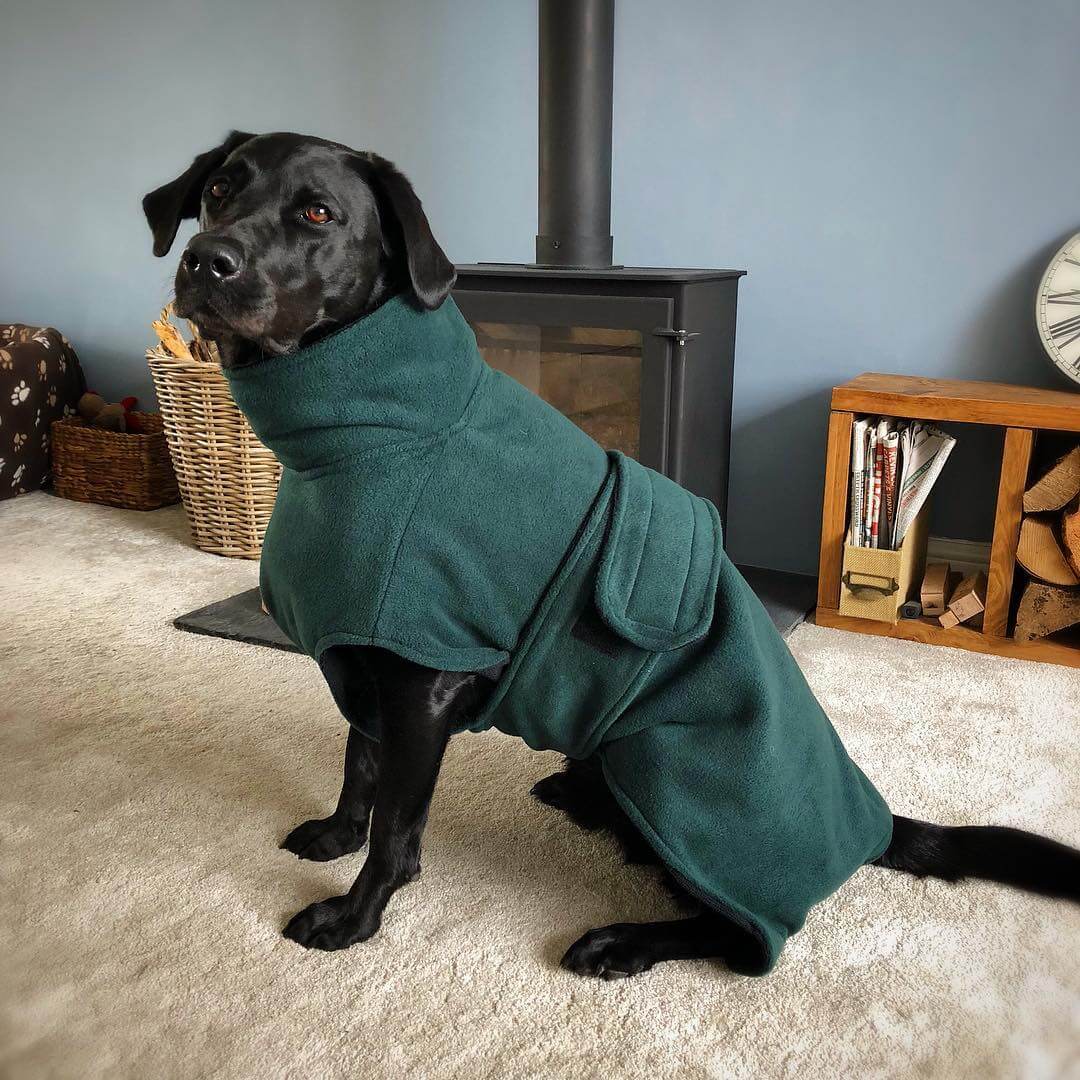 Dog drying coat – Ness Coat, rapid-drying and practical