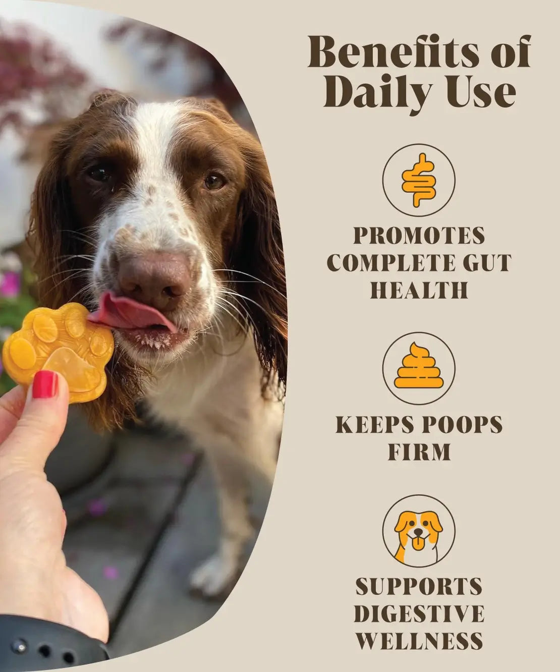 Hackney Dog House dog probiotic powder