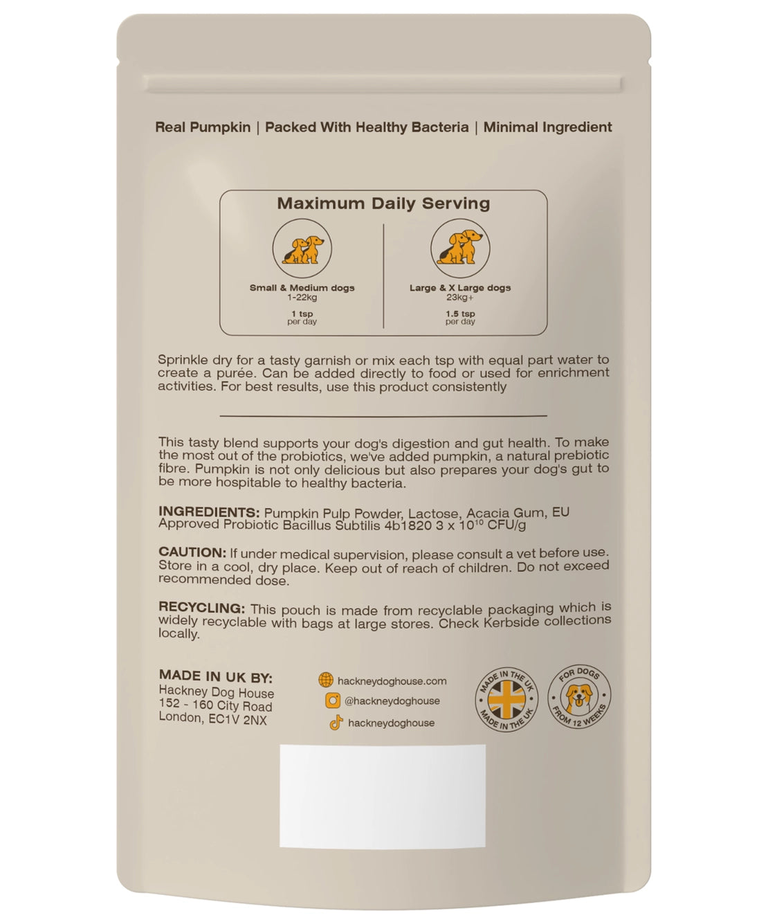 Pumpkin Probiotic Powder | 30 Servings