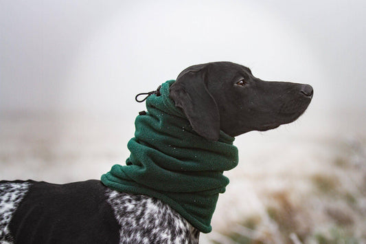 Polar Fleece Snood – UK-made, cosy, ear protection for dogs