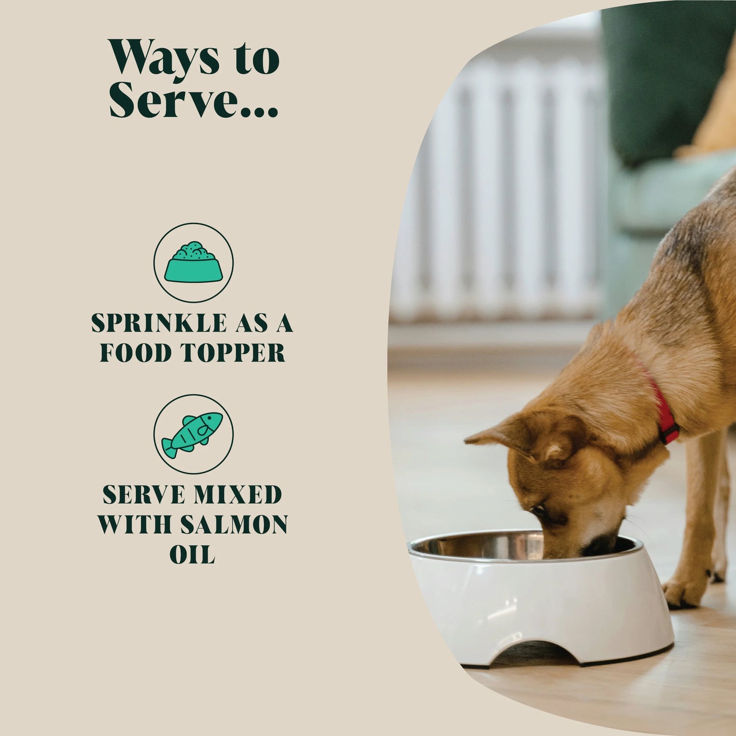 Green Lipped Mussel Powder | 80 Servings