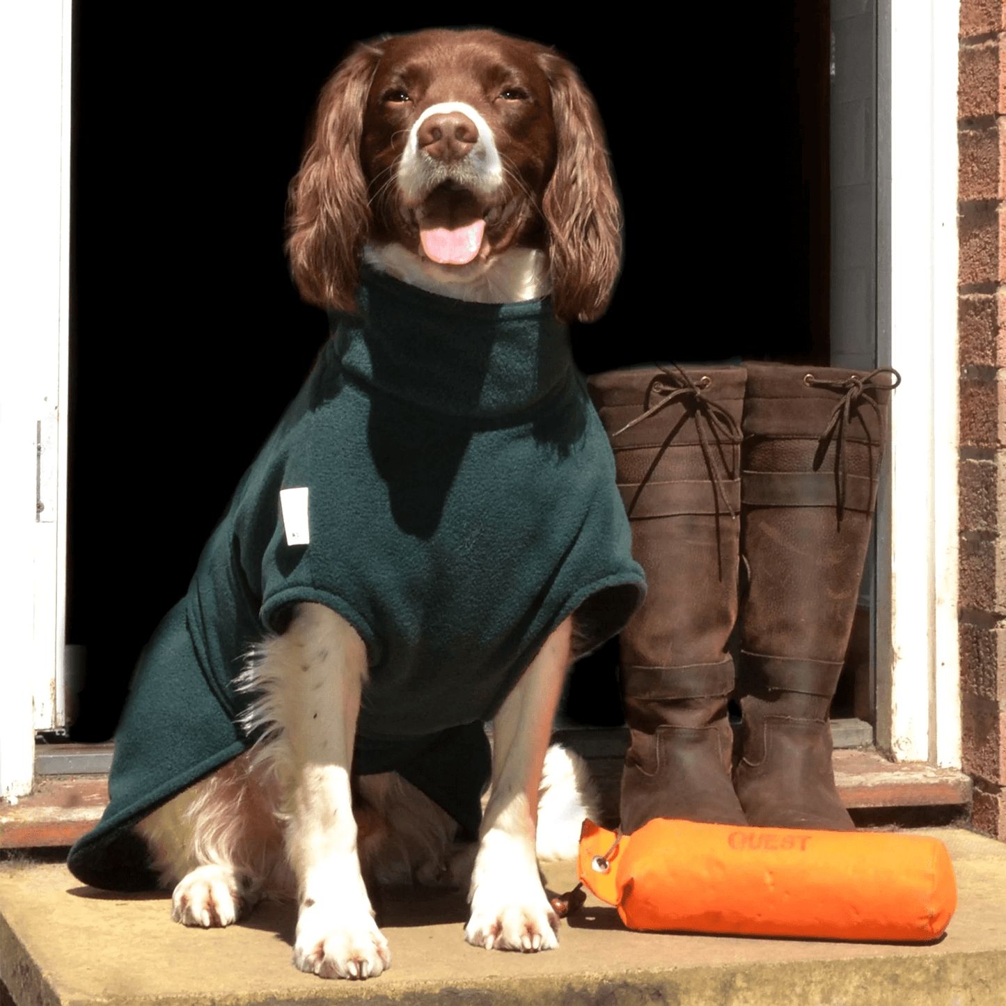 UK-crafted Ness Dog Drying Coat front – protects chest, back, and underbelly, keeps dogs warm and dry