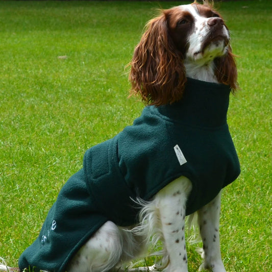 Dog wearing a stylish polar fleece coat for warmth and comfort on a chilly day