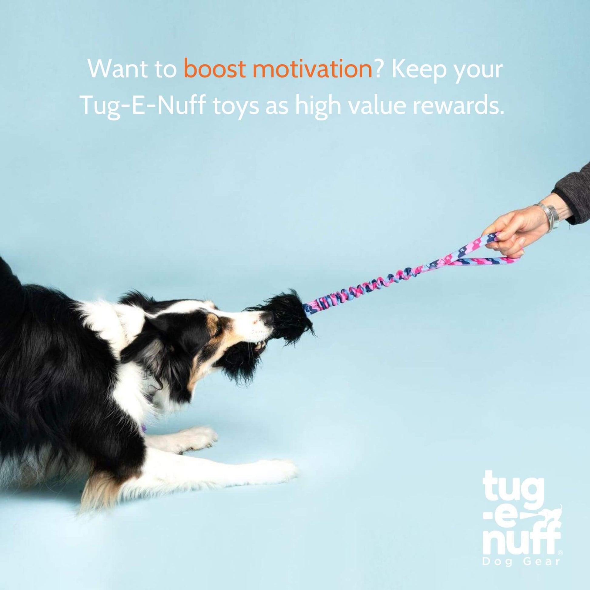 UK-made Wonderbaa Bungee – safe tug and fetch dog toy