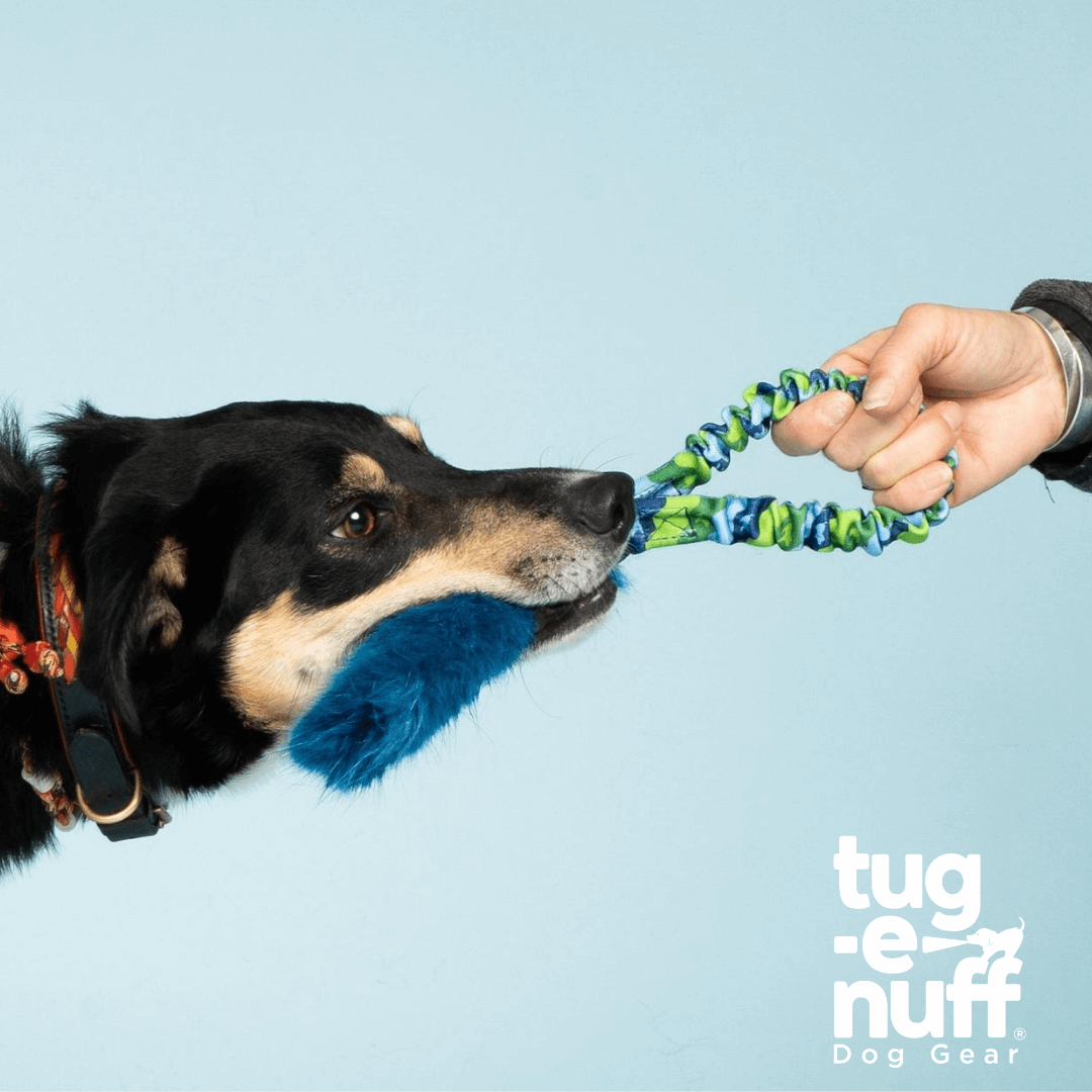 Pocket Fauxtastic for dogs – durable and safe