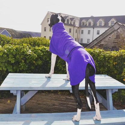 Back view of Ness Dog Drying Coat – full coverage dog coat with adjustable waist wrap, UK-made