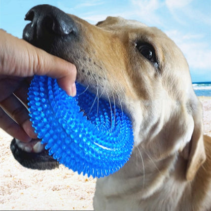 PlayfulBites Squeaky Doughnut