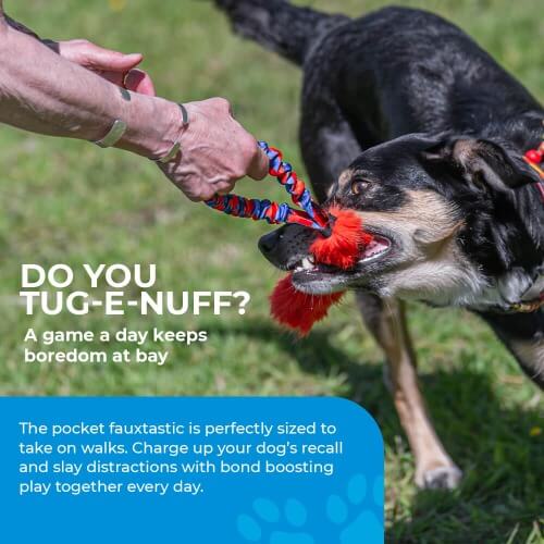 Pocket-sized dog toy – Pocket Fauxtastic, UK-made