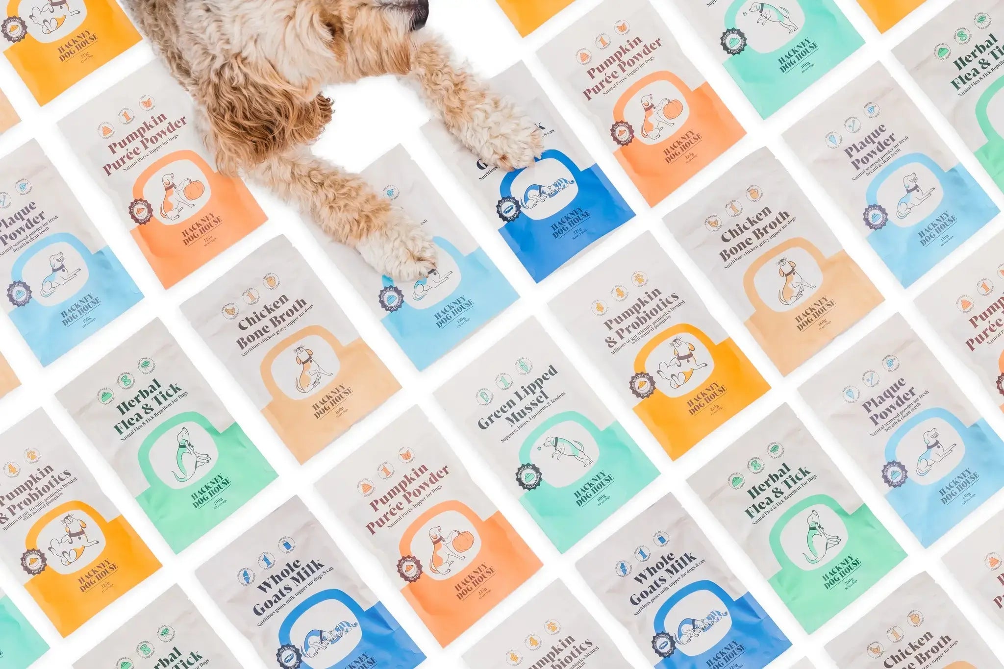 Dog laying on Hackney Dog House supplement powder sachets