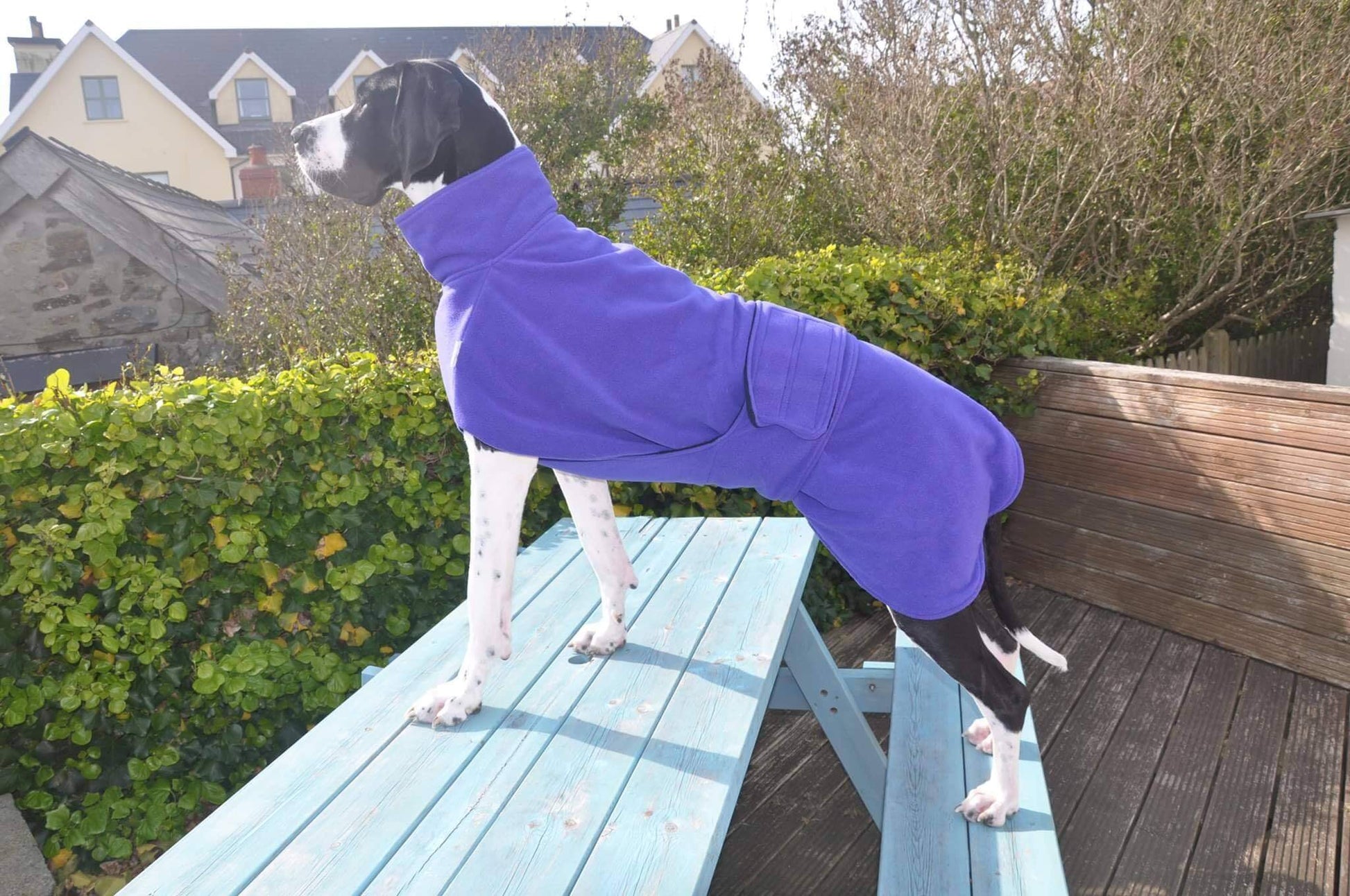 Water-resistant dog coat – Ness Coat by Freckles Designs
