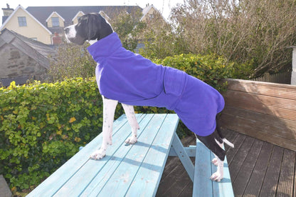 Water-resistant dog coat – Ness Coat by Freckles Designs