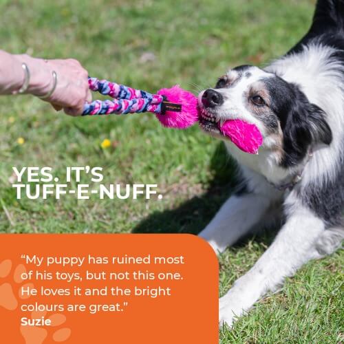 Interactive dog toy – Pocket Fauxtastic for play and bonding