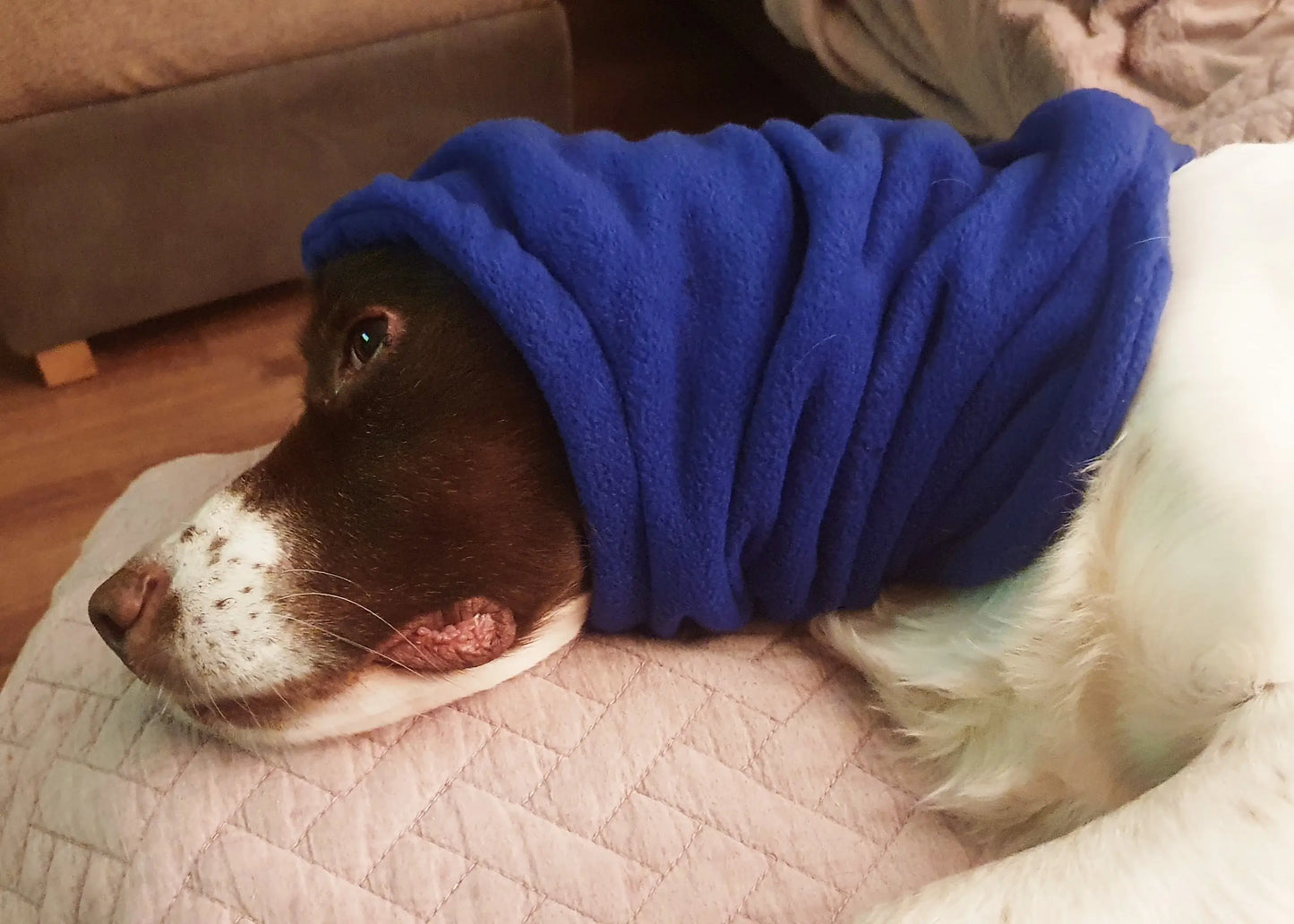 Dog fleece snood – Polar Snood, cosy and protective