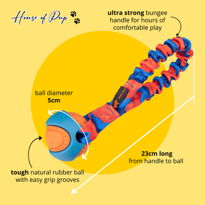 Durable dog tug toy – PowerBall Bungee, UK-made