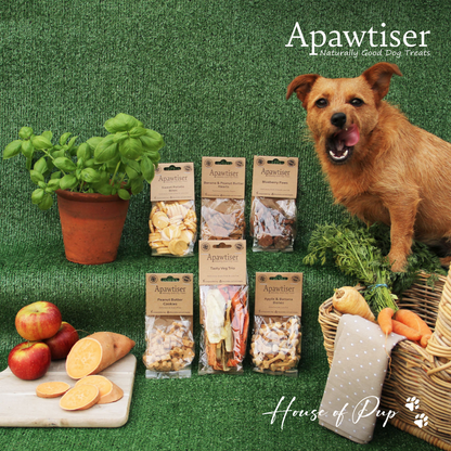 Apawtiser Apple & Banana Bones 100g