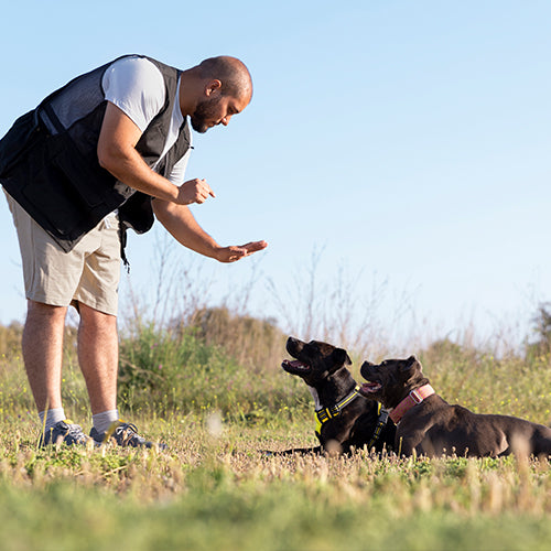 TrainPup Dog Training Whistle