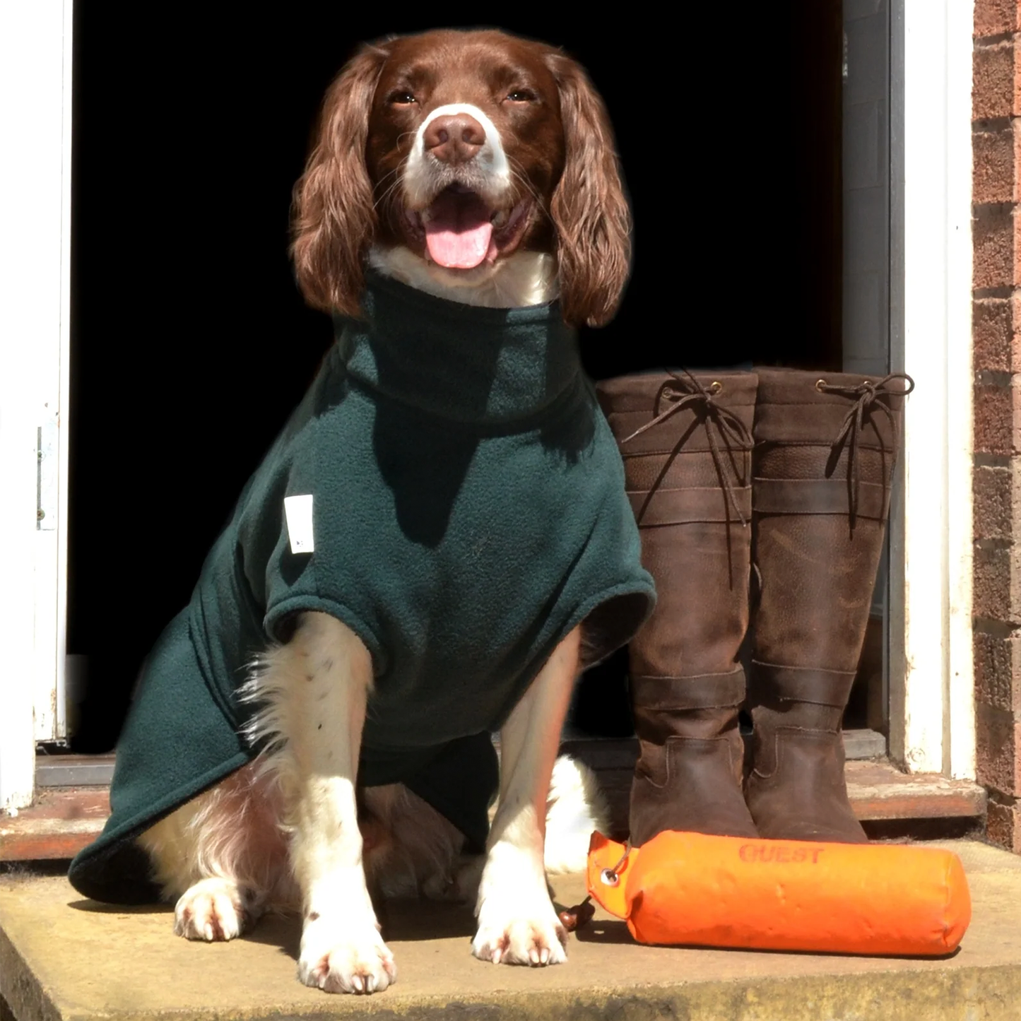 Freckles Designs Ness Dog Drying Coat