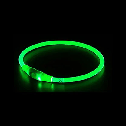 GlowGuard LED Night Collar