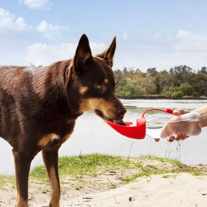 QuenchPup Drinks Bottle