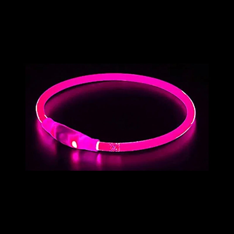 GlowGuard LED Night Collar