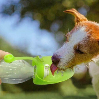 QuenchPup Drinks Bottle